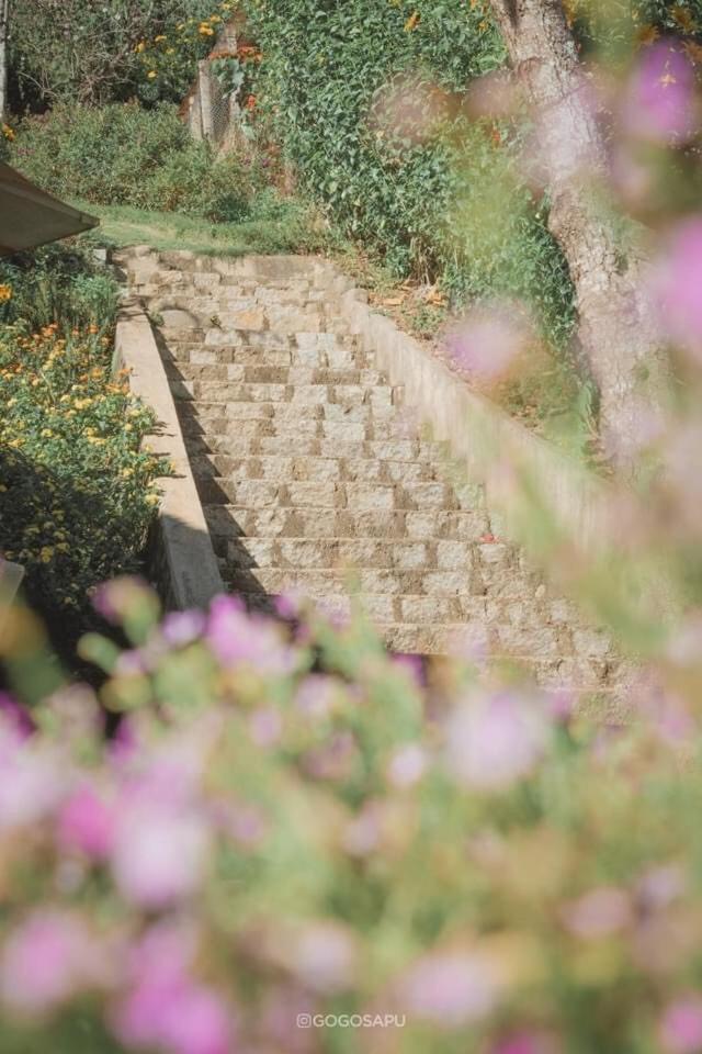 Biet Thu Trang Da Lat Villa Exterior photo